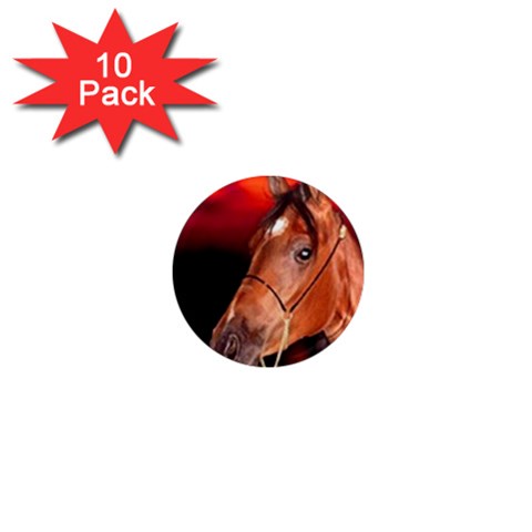 arabian horse 1  Mini Magnet (10 pack)  from UrbanLoad.com Front