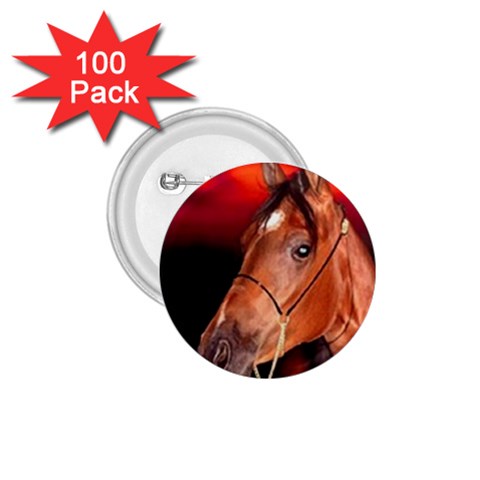 arabian horse 1.75  Button (100 pack)  from UrbanLoad.com Front