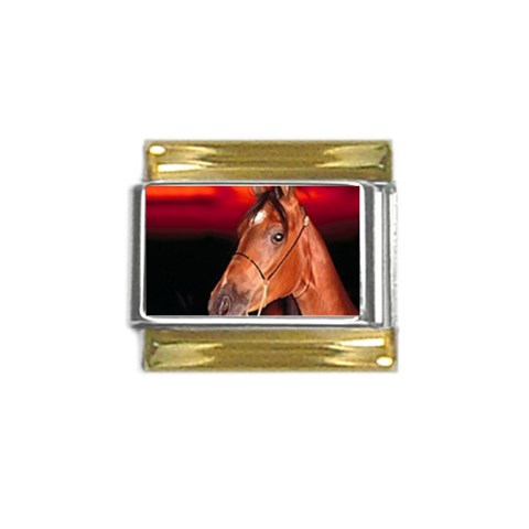 arabian horse Gold Trim Italian Charm (9mm) from UrbanLoad.com Front