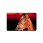 arabian horse Magnet (Name Card)
