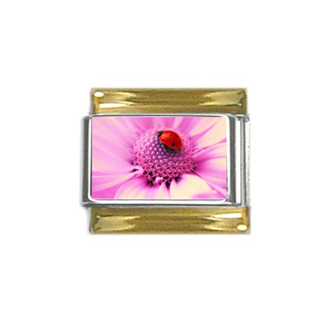 Ladybug On a Flower Gold Trim Italian Charm (9mm) from UrbanLoad.com Front