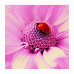 Ladybug On a Flower Glasses Cloth (Medium)