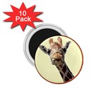 Giraffe 1.75  Magnet (10 pack) 