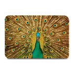 Peacock Feather Bird Peafowl Plate Mats