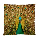 Peacock Feather Bird Peafowl Standard Cushion Case (One Side)