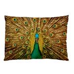 Peacock Feather Bird Peafowl Pillow Case