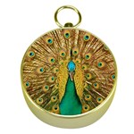 Peacock Feather Bird Peafowl Gold Compasses