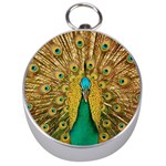 Peacock Feather Bird Peafowl Silver Compasses