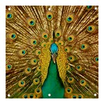 Peacock Feather Bird Peafowl Banner and Sign 3  x 3 