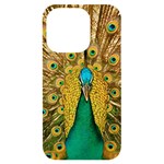 Peacock Feather Bird Peafowl iPhone 14 Pro Black UV Print Case