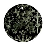 Weave Haeckel Lichenes Photobionten Ornament (Round)