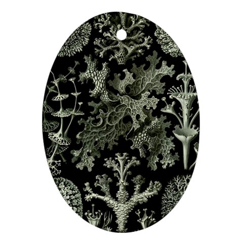 Weave Haeckel Lichenes Photobionten Ornament (Oval) from UrbanLoad.com Front