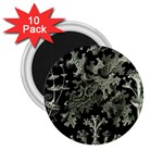 Weave Haeckel Lichenes Photobionten 2.25  Magnets (10 pack) 