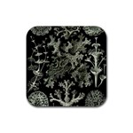 Weave Haeckel Lichenes Photobionten Rubber Coaster (Square)
