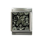 Weave Haeckel Lichenes Photobionten Italian Charm (13mm)