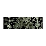 Weave Haeckel Lichenes Photobionten Sticker Bumper (10 pack)