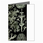 Weave Haeckel Lichenes Photobionten Greeting Cards (Pkg of 8)