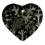 Weave Haeckel Lichenes Photobionten Heart Ornament (Two Sides)