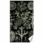 Weave Haeckel Lichenes Photobionten Canvas 40  x 72 
