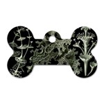 Weave Haeckel Lichenes Photobionten Dog Tag Bone (Two Sides)