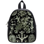 Weave Haeckel Lichenes Photobionten School Bag (Small)