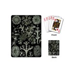 Weave Haeckel Lichenes Photobionten Playing Cards Single Design (Mini)