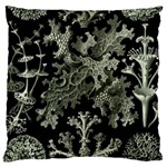 Weave Haeckel Lichenes Photobionten Large Cushion Case (Two Sides)