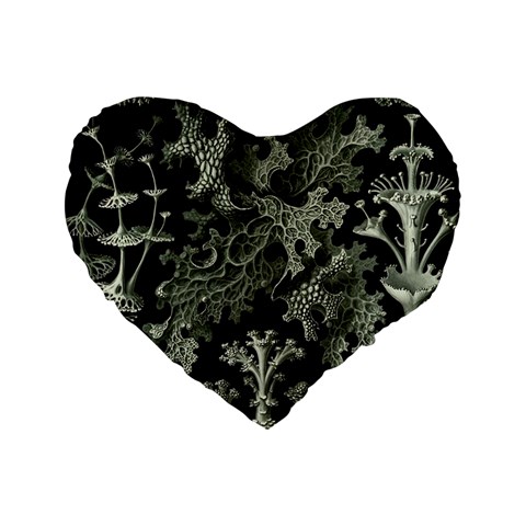 Weave Haeckel Lichenes Photobionten Standard 16  Premium Heart Shape Cushions from UrbanLoad.com Front