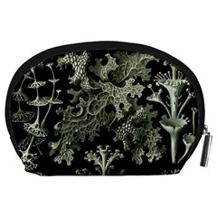 Weave Haeckel Lichenes Photobionten Accessory Pouch (Large) from UrbanLoad.com Back