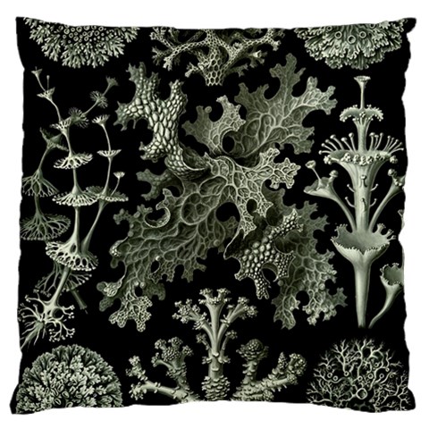 Weave Haeckel Lichenes Photobionten Large Premium Plush Fleece Cushion Case (Two Sides) from UrbanLoad.com Front