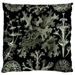 Weave Haeckel Lichenes Photobionten Large Premium Plush Fleece Cushion Case (Two Sides)