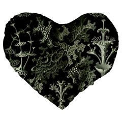 Weave Haeckel Lichenes Photobionten Large 19  Premium Flano Heart Shape Cushions from UrbanLoad.com Front