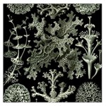Weave Haeckel Lichenes Photobionten Square Satin Scarf (36  x 36 )