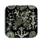Weave Haeckel Lichenes Photobionten Square Metal Box (Black)
