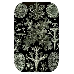 Weave Haeckel Lichenes Photobionten Waist Pouch (Small) from UrbanLoad.com Front