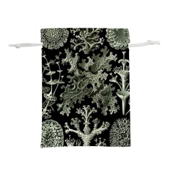 Weave Haeckel Lichenes Photobionten Lightweight Drawstring Pouch (M) from UrbanLoad.com Back
