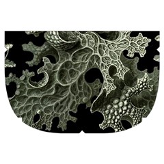 Weave Haeckel Lichenes Photobionten Make Up Case (Small) from UrbanLoad.com Side Left