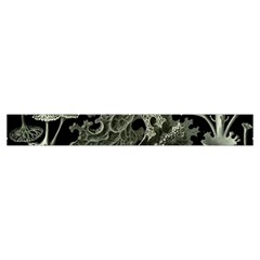 Weave Haeckel Lichenes Photobionten Make Up Case (Small) from UrbanLoad.com Zipper Tape Front