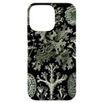 Weave Haeckel Lichenes Photobionten iPhone 14 Pro Max Black UV Print Case