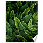 Green leaves Canvas 36  x 48 