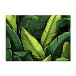 Banana leaves pattern Sticker A4 (100 pack)