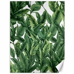 Tropical leaves Canvas 36  x 48 