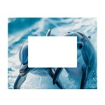 Dolphin Swimming Sea Ocean White Tabletop Photo Frame 4 x6 