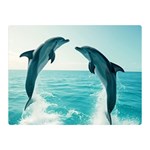 Dolphin Sea Ocean Two Sides Premium Plush Fleece Blanket (Mini)