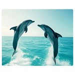 Dolphin Sea Ocean Premium Plush Fleece Blanket (Medium)