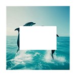 Dolphin Sea Ocean White Box Photo Frame 4  x 6 