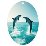 Dolphin Sea Ocean UV Print Acrylic Ornament Oval