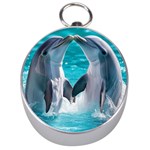 Dolphins Sea Ocean Silver Compasses