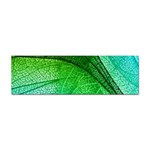3d Leaves Texture Sheet Blue Green Sticker (Bumper)