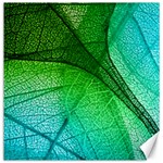 3d Leaves Texture Sheet Blue Green Canvas 16  x 16 